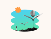 Capacitación continua