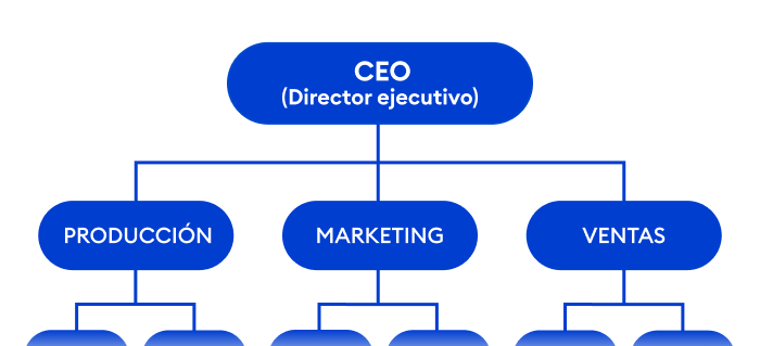 Un ejemplo de estructura organizativa