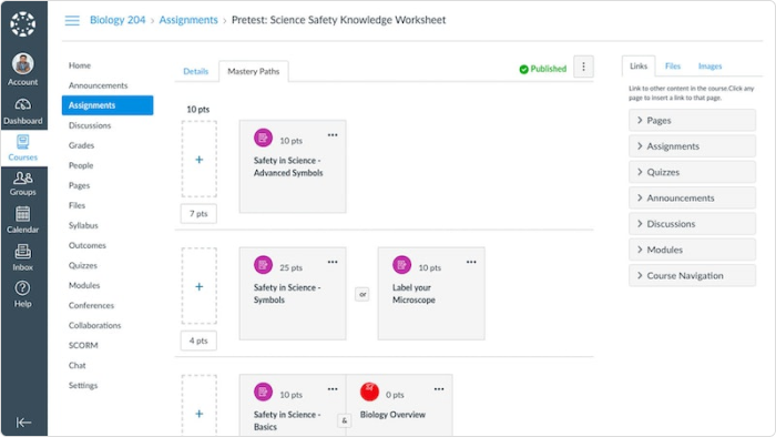 Un ejemplo de software educativo: Canvas LMS