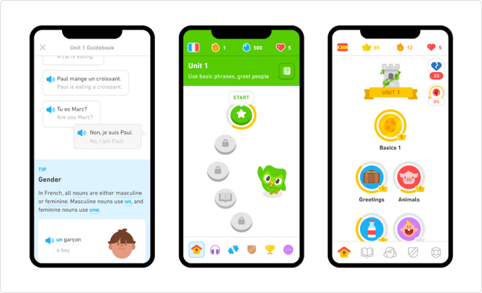 Duolingo Un ejemplo de software educativo: Duolingo