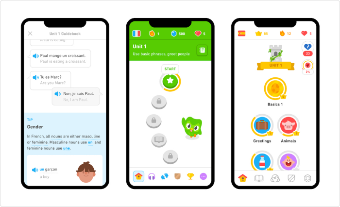 Un ejemplo de software educativo: Duolingo