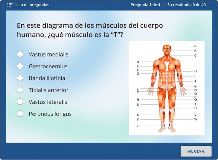 Preguntas de un curso creado por Learning Nurse Un ejemplo de un cuestionario online