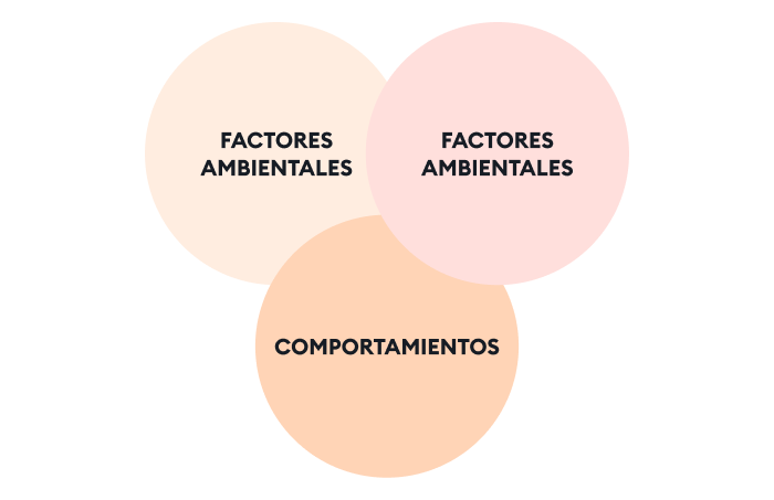 Caracter&iacute;sticas de la teor&iacute;a de aprendizaje social