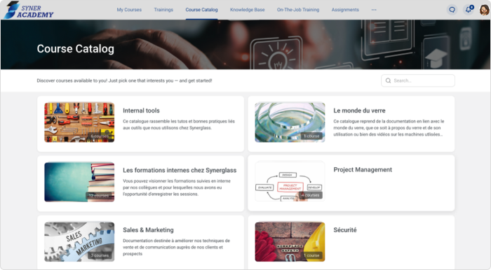 Portal de aprendizaje de Syner Academy